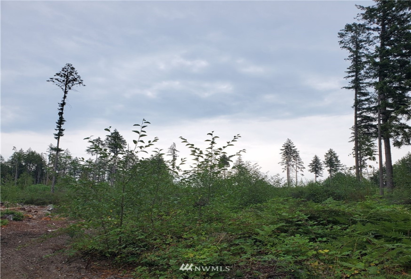 0 000 Anderson Hill, Port Orchard, Washington 98367, ,Land,For Sale,000 Anderson Hill,NWM1817188