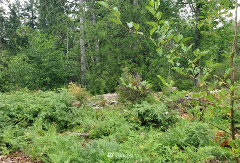 0 000 Anderson Hill, Port Orchard, Washington 98367, ,Land,For Sale,000 Anderson Hill,NWM1817188