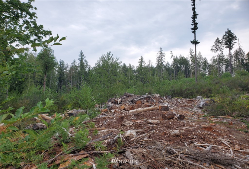 0 000 Anderson Hill, Port Orchard, Washington 98367, ,Land,For Sale,000 Anderson Hill,NWM1817188