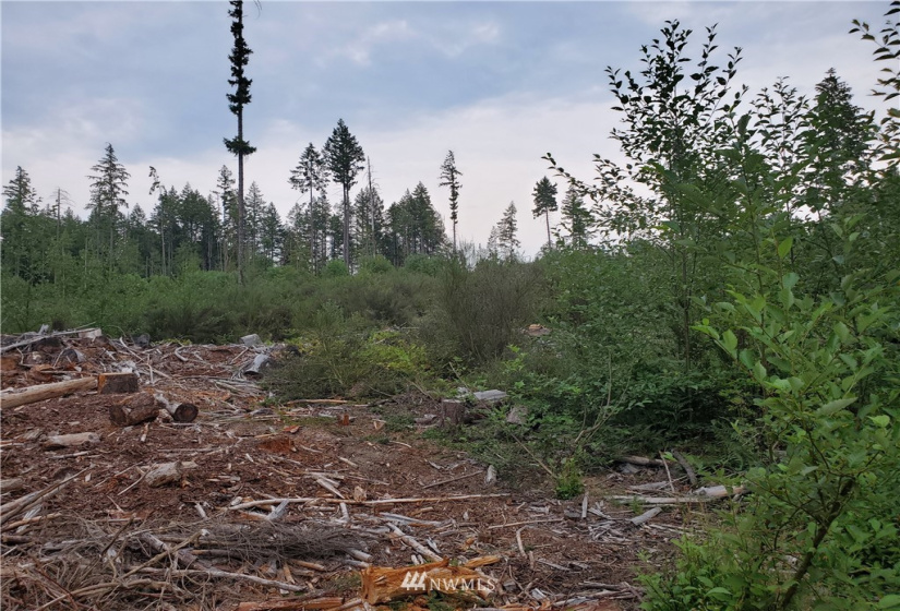 0 000 Anderson Hill, Port Orchard, Washington 98367, ,Land,For Sale,000 Anderson Hill,NWM1817188