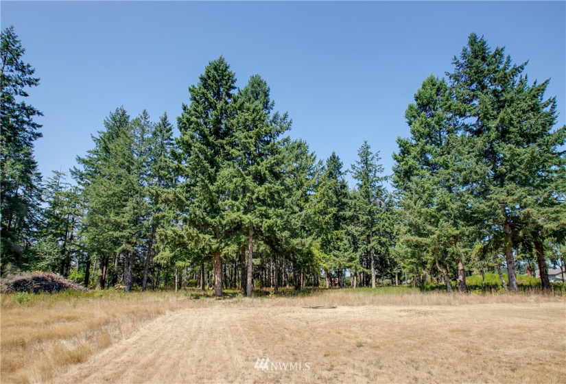 11519 Vail, Yelm, Washington 98597, ,Commercial Sale,For Sale,Vail,NWM1821309