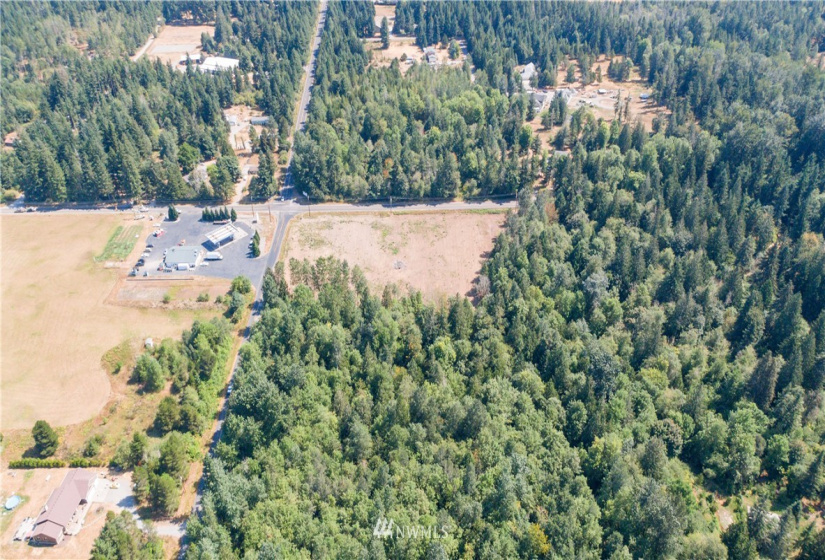 16471 153rd, Yelm, Washington 98597, ,Land,For Sale,153rd,NWM1821308