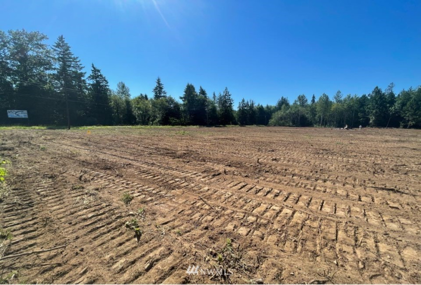 16471 153rd, Yelm, Washington 98597, ,Land,For Sale,153rd,NWM1821308