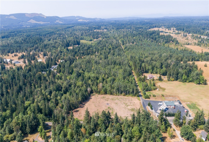 16471 153rd, Yelm, Washington 98597, ,Land,For Sale,153rd,NWM1821308