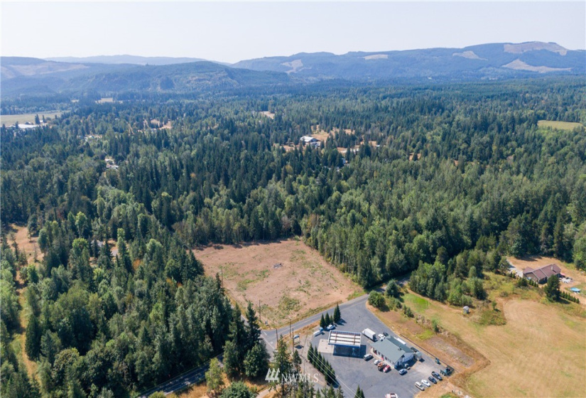 16471 153rd, Yelm, Washington 98597, ,Land,For Sale,153rd,NWM1821308