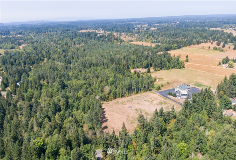 16471 153rd, Yelm, Washington 98597, ,Land,For Sale,153rd,NWM1821308