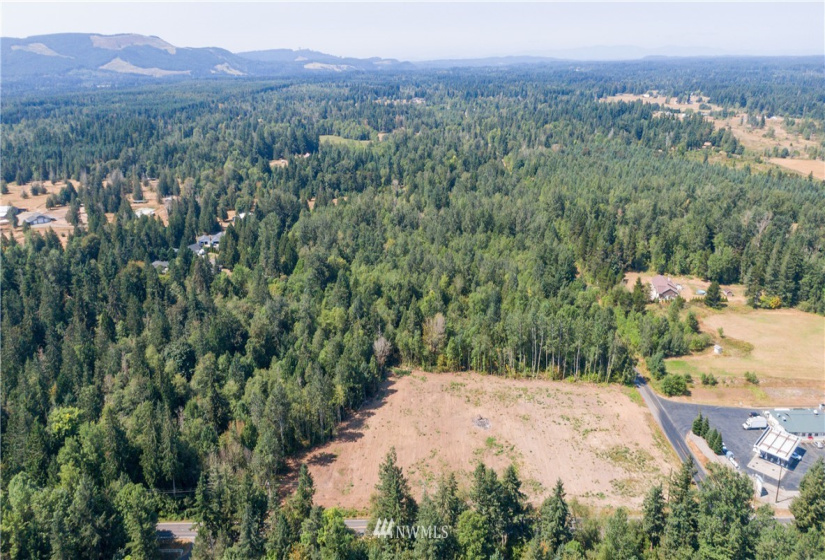 16471 153rd, Yelm, Washington 98597, ,Land,For Sale,153rd,NWM1821308