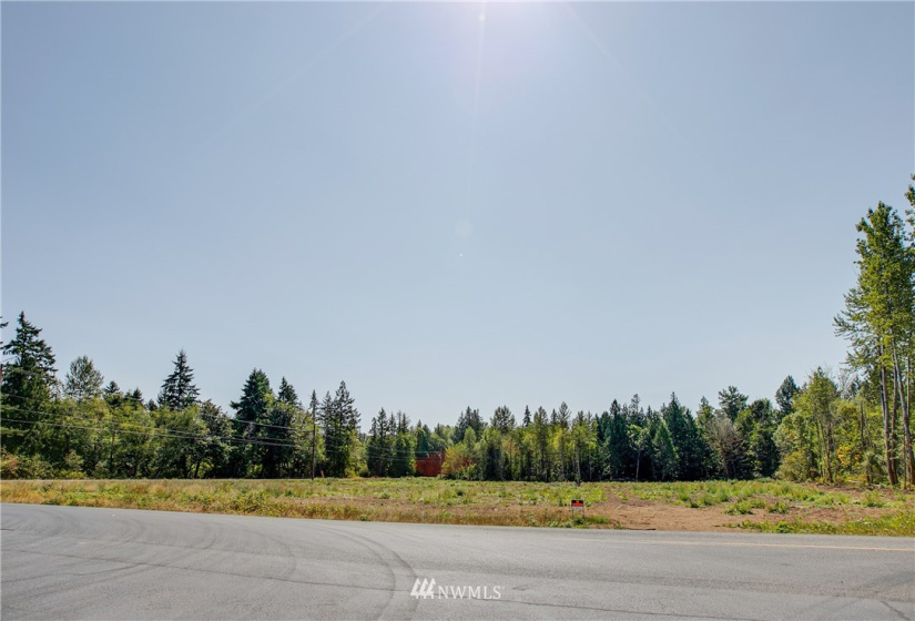 16471 153rd, Yelm, Washington 98597, ,Land,For Sale,153rd,NWM1821308