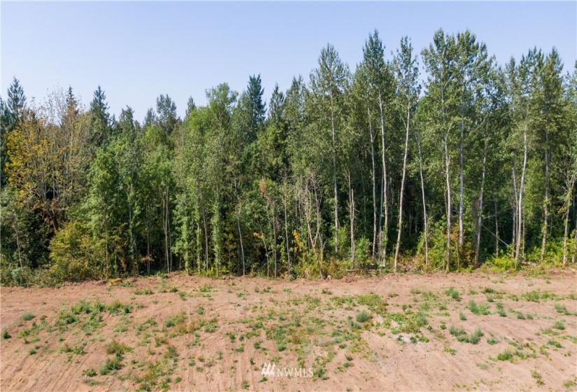 16471 153rd, Yelm, Washington 98597, ,Land,For Sale,153rd,NWM1821308