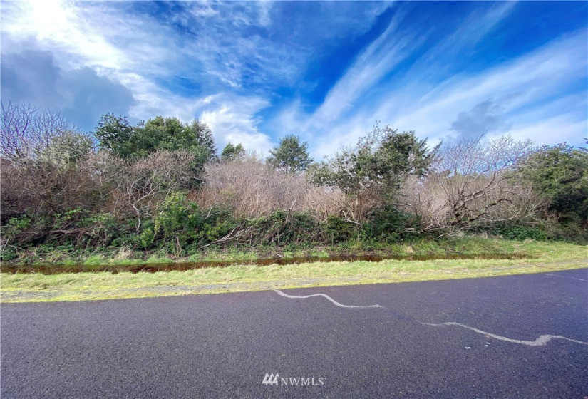 126 Jib, Ocean Shores, Washington 98569, ,Land,For Sale,1,Jib,NWM1821450
