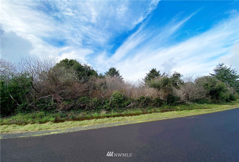 126 Jib, Ocean Shores, Washington 98569, ,Land,For Sale,1,Jib,NWM1821450