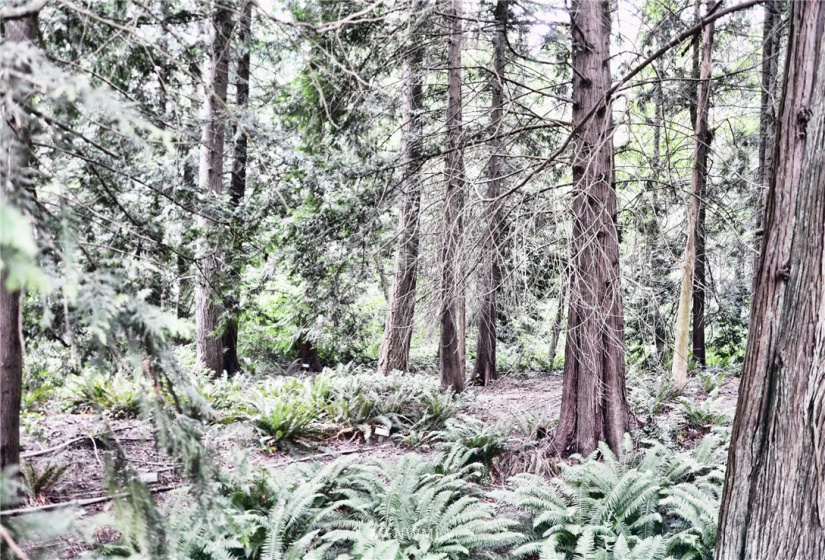 13318 Beverly Park, Mukilteo, Washington 98275, ,Residential,For Sale,Beverly Park,NWM1821591