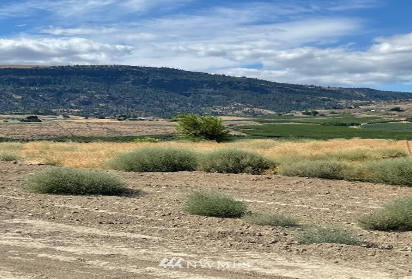 8 John Truett, Lot 08, Malaga, Washington 98828, ,Land,For Sale,Apricot Hill, Phase 2,John Truett, Lot 08,NWM1821879