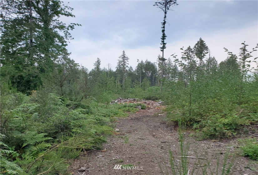 0 000 & 0000 Anderson Hill, Port Orchard, Washington 98367, ,Land,For Sale,000 & 0000 Anderson Hill,NWM1817185
