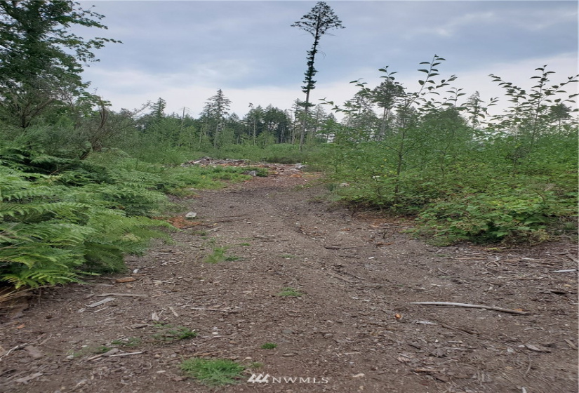 0 000 & 0000 Anderson Hill, Port Orchard, Washington 98367, ,Land,For Sale,000 & 0000 Anderson Hill,NWM1817185