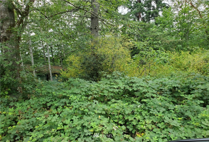 0 000 & 0000 Anderson Hill, Port Orchard, Washington 98367, ,Land,For Sale,000 & 0000 Anderson Hill,NWM1817185