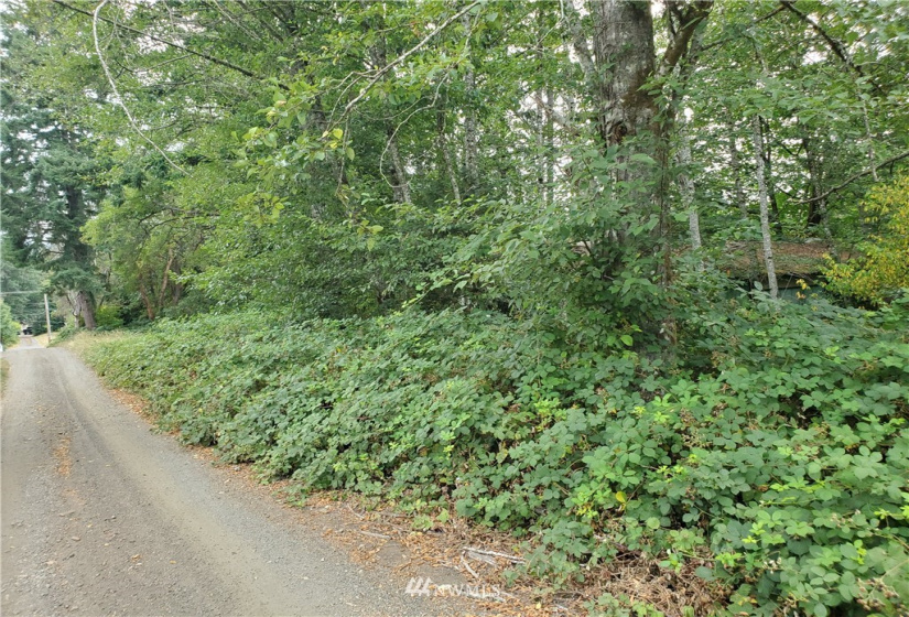 0 000 & 0000 Anderson Hill, Port Orchard, Washington 98367, ,Land,For Sale,000 & 0000 Anderson Hill,NWM1817185