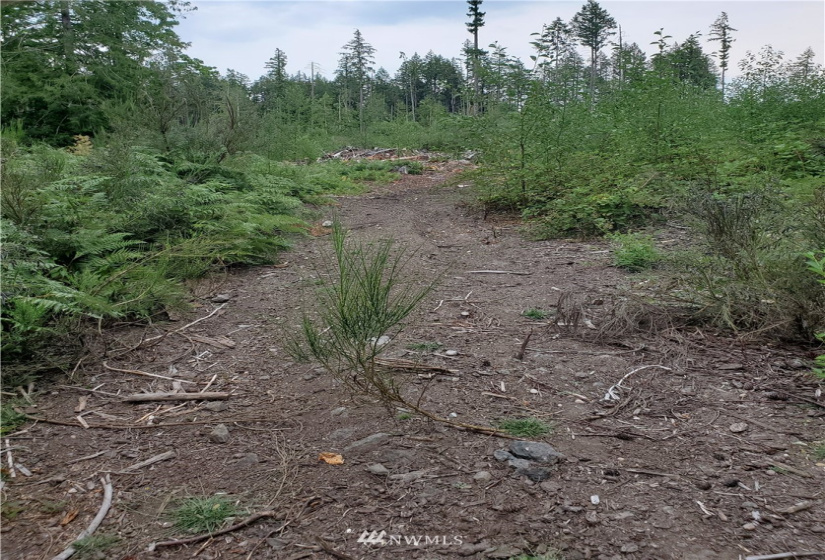0 000 & 0000 Anderson Hill, Port Orchard, Washington 98367, ,Land,For Sale,000 & 0000 Anderson Hill,NWM1817185