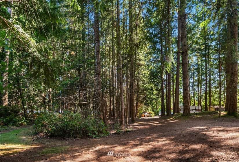 16 xx Beaver Lake, Sammamish, Washington 98075, ,Land,For Sale,Beaver Lake,NWM1819521