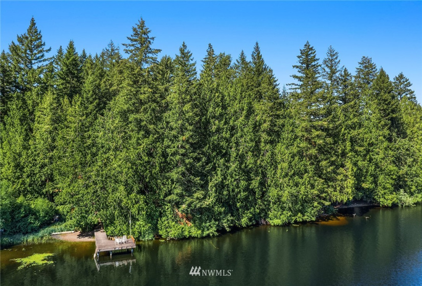 16 xx Beaver Lake, Sammamish, Washington 98075, ,Land,For Sale,Beaver Lake,NWM1819521