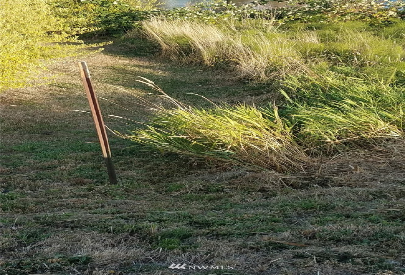 239 Welcome Slough, Cathlamet, Washington 98612, ,Land,For Sale,Welcome Slough,NWM1821297