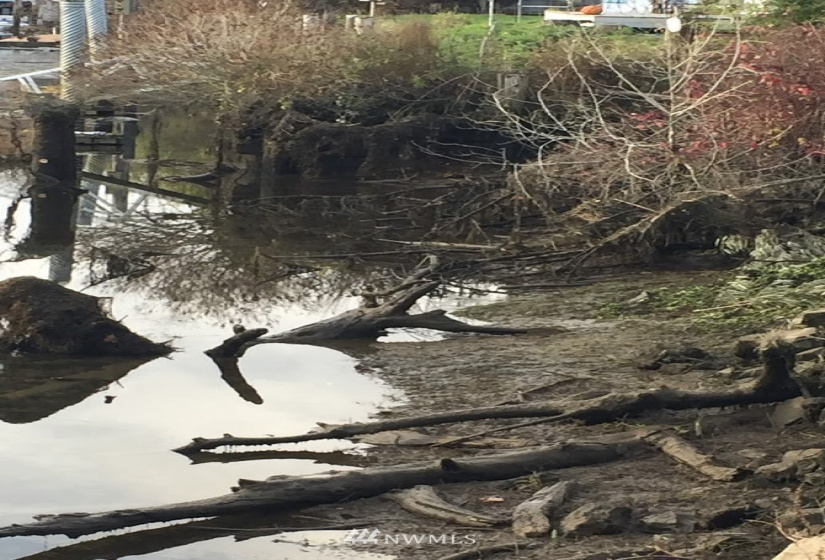 239 Welcome Slough, Cathlamet, Washington 98612, ,Land,For Sale,Welcome Slough,NWM1821297