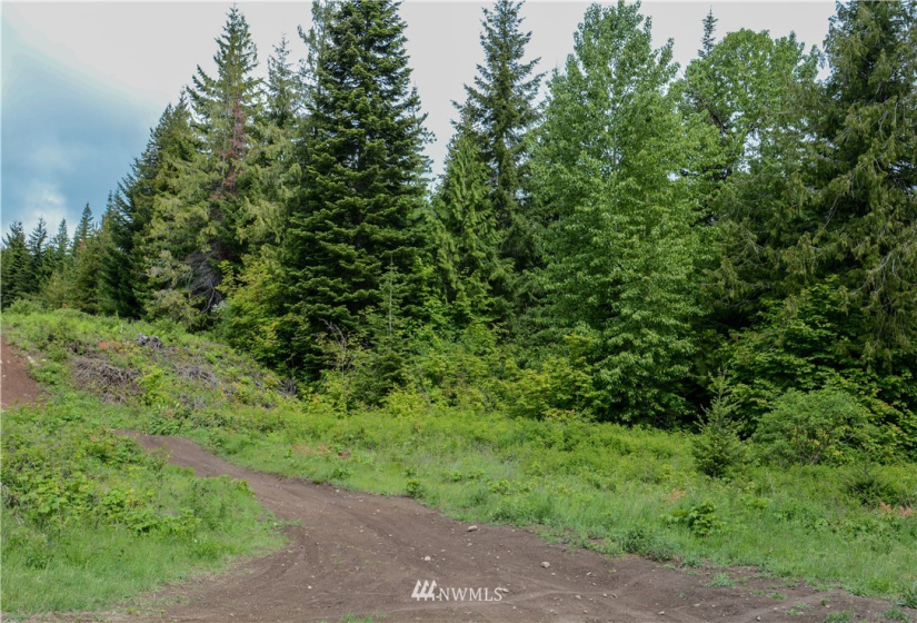 1 XX Iron Horse, Easton, Washington 98925, ,Land,For Sale,Easton Ranchettes,Iron Horse,NWM1821928