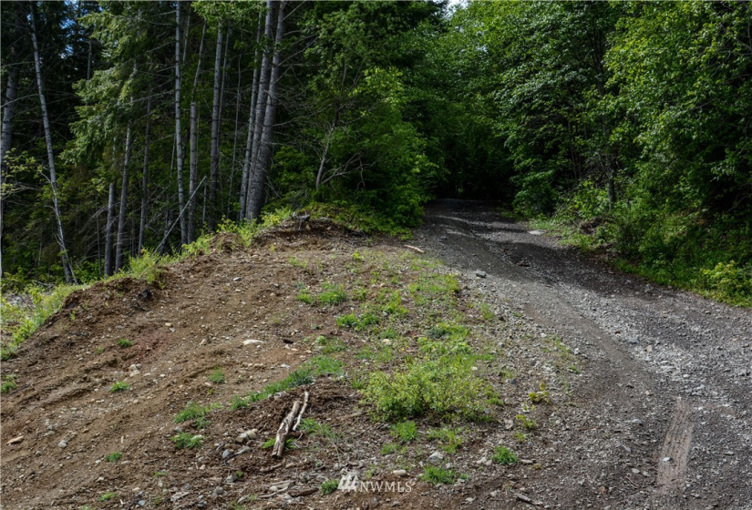 1 XX Iron Horse, Easton, Washington 98925, ,Land,For Sale,Easton Ranchettes,Iron Horse,NWM1821928