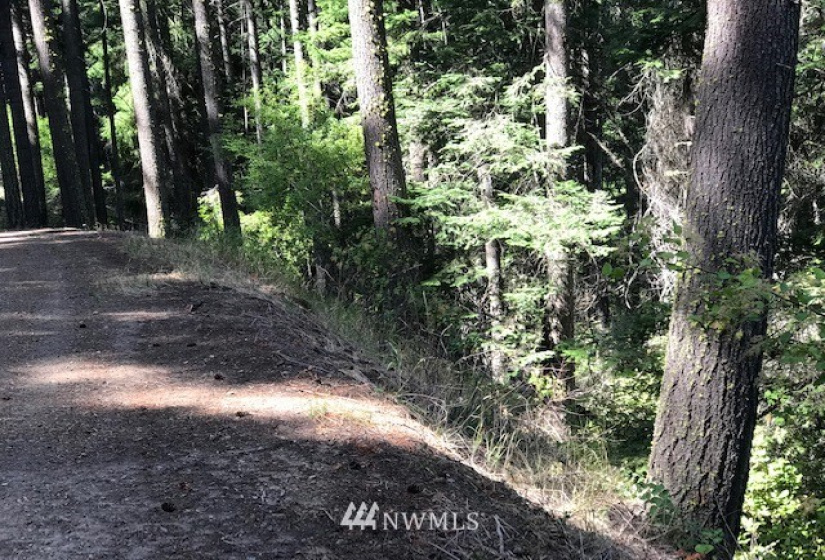 0 Skull Springs, Cle Elum, Washington 98922, ,Land,For Sale,Sky Meadows,Skull Springs,NWM1822890