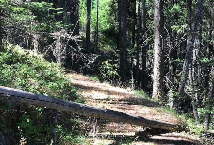 0 Skull Springs, Cle Elum, Washington 98922, ,Land,For Sale,Sky Meadows,Skull Springs,NWM1822890