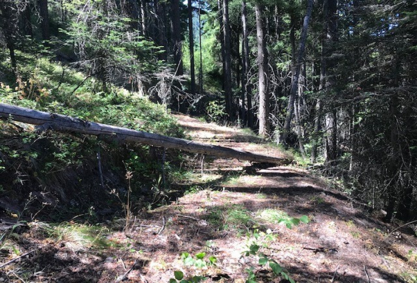 0 Skull Springs, Cle Elum, Washington 98922, ,Land,For Sale,Sky Meadows,Skull Springs,NWM1822890