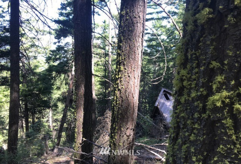 0 Skull Springs, Cle Elum, Washington 98922, ,Land,For Sale,Sky Meadows,Skull Springs,NWM1822890