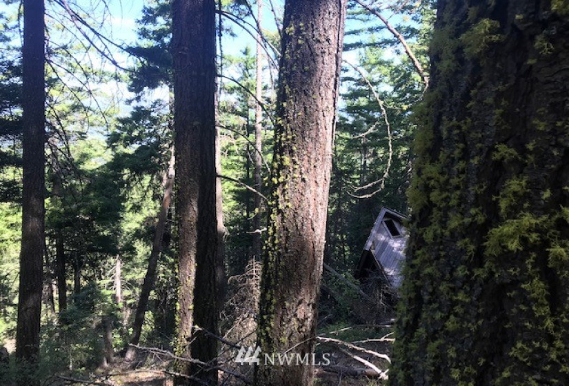 0 Skull Springs, Cle Elum, Washington 98922, ,Land,For Sale,Sky Meadows,Skull Springs,NWM1822890