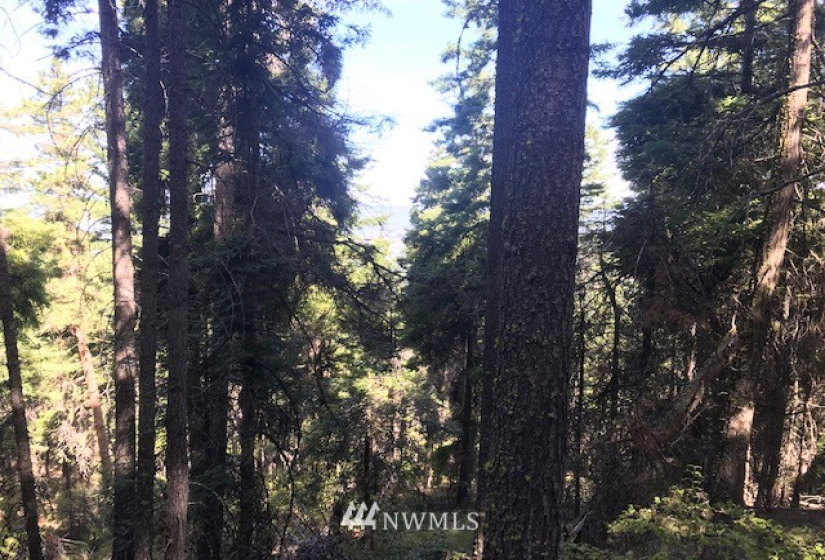 0 Skull Springs, Cle Elum, Washington 98922, ,Land,For Sale,Sky Meadows,Skull Springs,NWM1822890