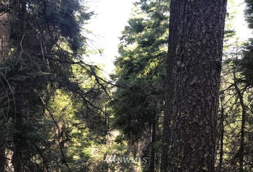 0 Skull Springs, Cle Elum, Washington 98922, ,Land,For Sale,Sky Meadows,Skull Springs,NWM1822890