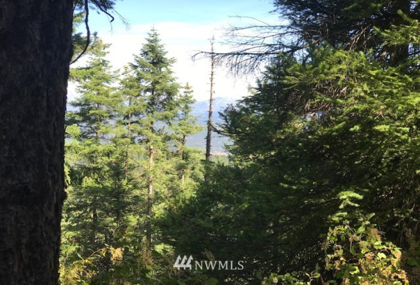 0 Skull Springs, Cle Elum, Washington 98922, ,Land,For Sale,Sky Meadows,Skull Springs,NWM1822890