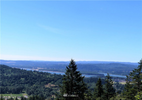 1065 Mt Pleasant, Carrolls, Washington 98626, ,Land,For Sale,Mt Pleasant,NWM1823356