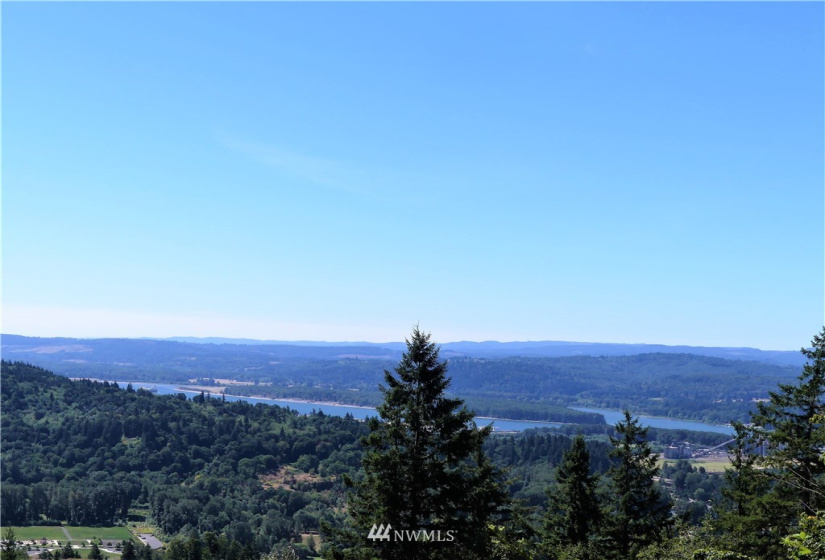 1065 Mt Pleasant, Carrolls, Washington 98626, ,Land,For Sale,Mt Pleasant,NWM1823356