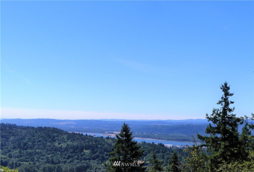 1065 Mt Pleasant, Carrolls, Washington 98626, ,Land,For Sale,Mt Pleasant,NWM1823356