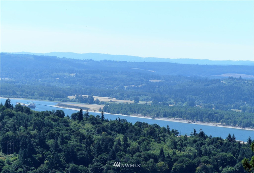 1065 Mt Pleasant, Carrolls, Washington 98626, ,Land,For Sale,Mt Pleasant,NWM1823356