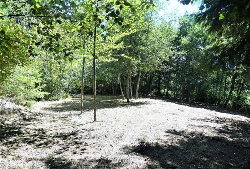 1065 Mt Pleasant, Carrolls, Washington 98626, ,Land,For Sale,Mt Pleasant,NWM1823356
