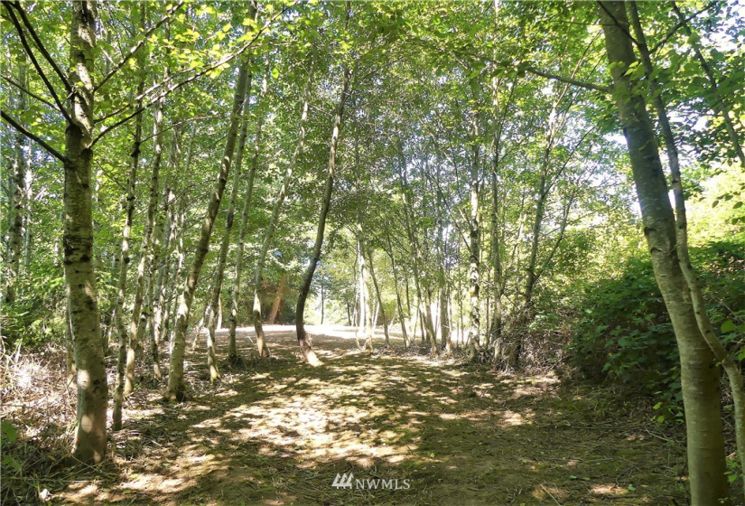 1065 Mt Pleasant, Carrolls, Washington 98626, ,Land,For Sale,Mt Pleasant,NWM1823356