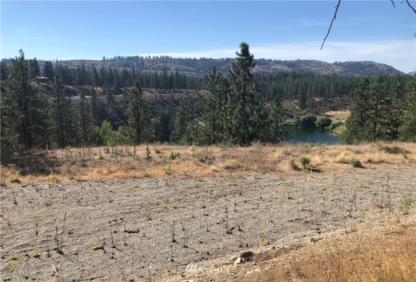 3 Mist Lake, Tonasket, Washington 98855, ,Land,For Sale,Mist Lake,NWM1822898