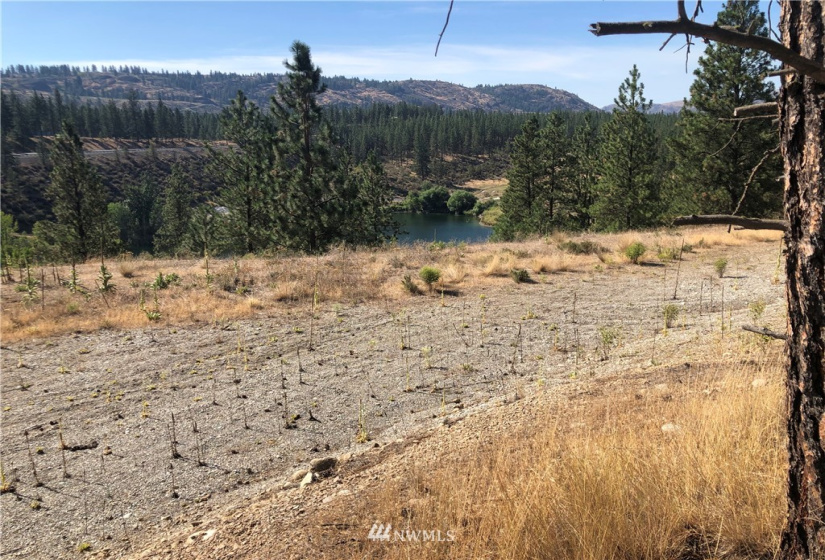 3 Mist Lake, Tonasket, Washington 98855, ,Land,For Sale,Mist Lake,NWM1822898