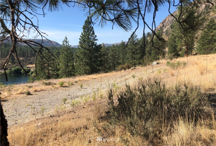 3 Mist Lake, Tonasket, Washington 98855, ,Land,For Sale,Mist Lake,NWM1822898