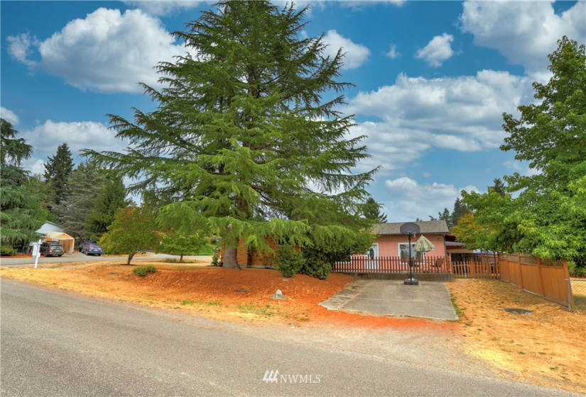 14203 201st, Kent, Washington 98042, 5 Bedrooms Bedrooms, ,2 BathroomsBathrooms,Residential,For Sale,Fowlers,201st,NWM1824575