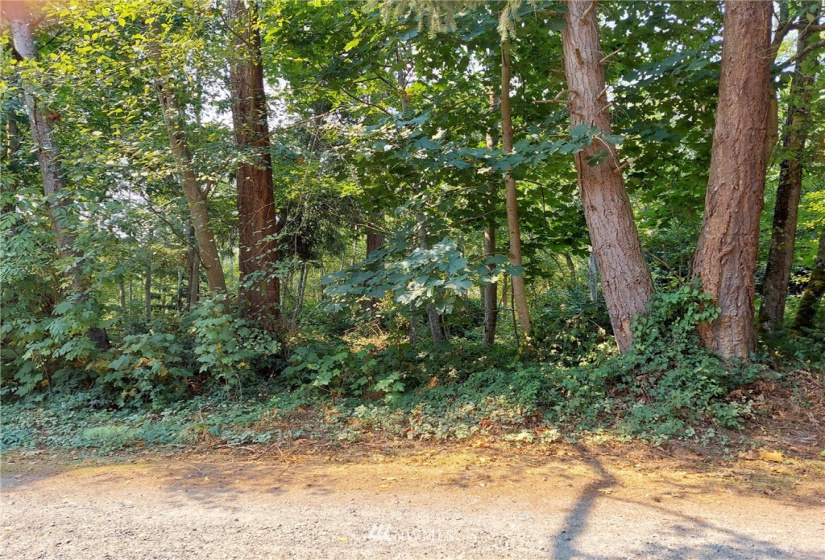 8483 83 A Saratoga Dr 84Camano Dr, Hat Island, Washington 98206, ,Land,For Sale,83 A Saratoga Dr 84Camano Dr,NWM1823619