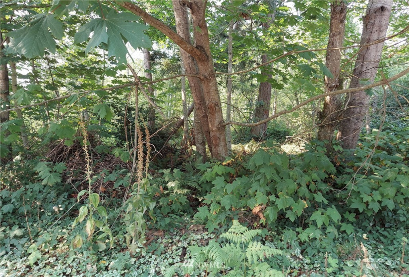 8483 83 A Saratoga Dr 84Camano Dr, Hat Island, Washington 98206, ,Land,For Sale,83 A Saratoga Dr 84Camano Dr,NWM1823619