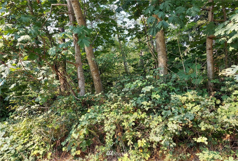 8483 83 A Saratoga Dr 84Camano Dr, Hat Island, Washington 98206, ,Land,For Sale,83 A Saratoga Dr 84Camano Dr,NWM1823619