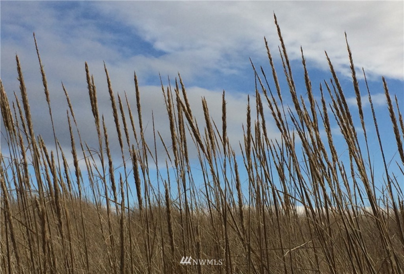 32202 J, Ocean Park, Washington 98640, ,Land,For Sale,Surfside estates,J,NWM1824578